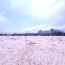 오션투유 리조트 이미지