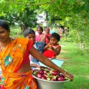 아웃카스트(out-caste) | 인도: Dalit Theology과 에큐메니칼 윤리