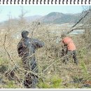 도전농장 이미지