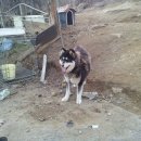 상일농장 이미지