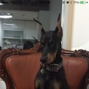 안녕하세요 이미지