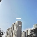 수원-1273 Daum카페