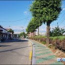 일신아파트앞 이미지