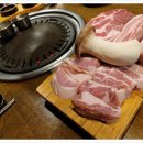 서해쭈꾸미 이미지