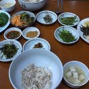 종가집보리밥