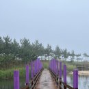 망상해오름가족호텔 이미지