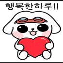 자동차가 행복한집 이미지