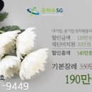 고성장례식장