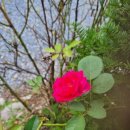 기분좋은펜션 이미지