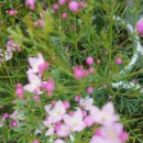 양재농장 이미지