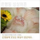 싱싱어촌
