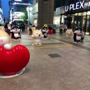 견들의 밥상 네이버블로그