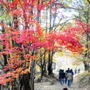 중학교 30회 정모-계룡산 수학여행 이미지