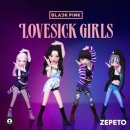 시티팜 주식회사 이미지