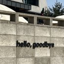 고양아, 안녕? 이미지