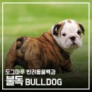 도그마루(왕십리점) 이미지