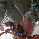 수원 락 실내바다 낚시터 이미지