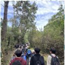 합기도을지관 이미지