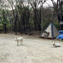 광교산동물병원 이미지