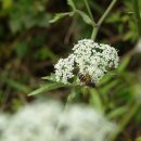 순천한우 농장 이미지