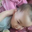 싸움의고수평화점 이미지