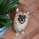 월영동011 이미지