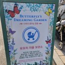 NO25 용인터미널점 | 용인 에버랜드 나비정원 방문 꿀팁! 시간, 위치, 기간, 포토존 등 입장부터 따라만 하세요.(유모차 입장...