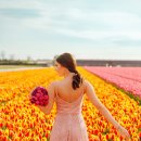 한국계기 이미지