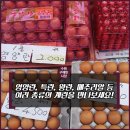 경북닭집 이미지