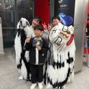 제기로 23-2 | [공연후기] 2025지역대표예술단체 선정작품 &#39;발光불개-사방을 지키는 신&#39; [2025.11.22-23]