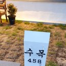 수목458 이미지