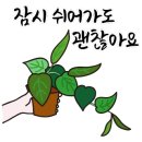 황토방민박 이미지