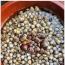 태안힐링캠프 | 태안조개체험펜션 자연을 만끽할 수 있는 완벽한 휴양지, 태안힐링캠프펜션 후기