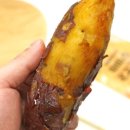 하나팜스 이미지