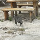 노들식당 이미지