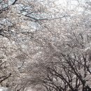 산마루민박2 이미지