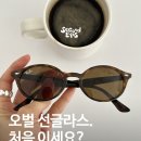 4315 | 레이벤 여자 선글라스 RB4315 착용 후기