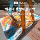 부산 해운대 디저트 선물 호랑이젤라떡 내돈내산 후기