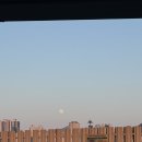 와우곱창 기장점 | 특별한 일 없는, 소소한 2월 일상(1)