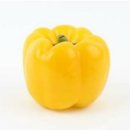 파프리카유치원 이미지