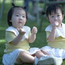 광지파크 이미지