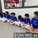 용인대 사랑가득 태권도장 이미지