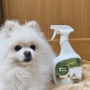 녹색환경개발 | [탈취제 추천] 집안 냄새 고민 끝! 친환경탈취제 크린코어 실사용 후기