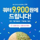 31 Daum카페