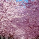 안순농장 이미지