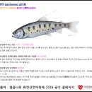 얼음나라 - 강남구 | 얼음나라