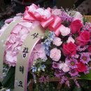 화사랑화원 이미지