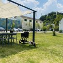 애견취향 이미지