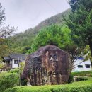 산새소리물새소리 이미지