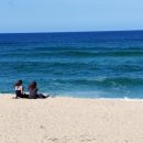 대관령 솔내음 오토 캠핑장 이미지